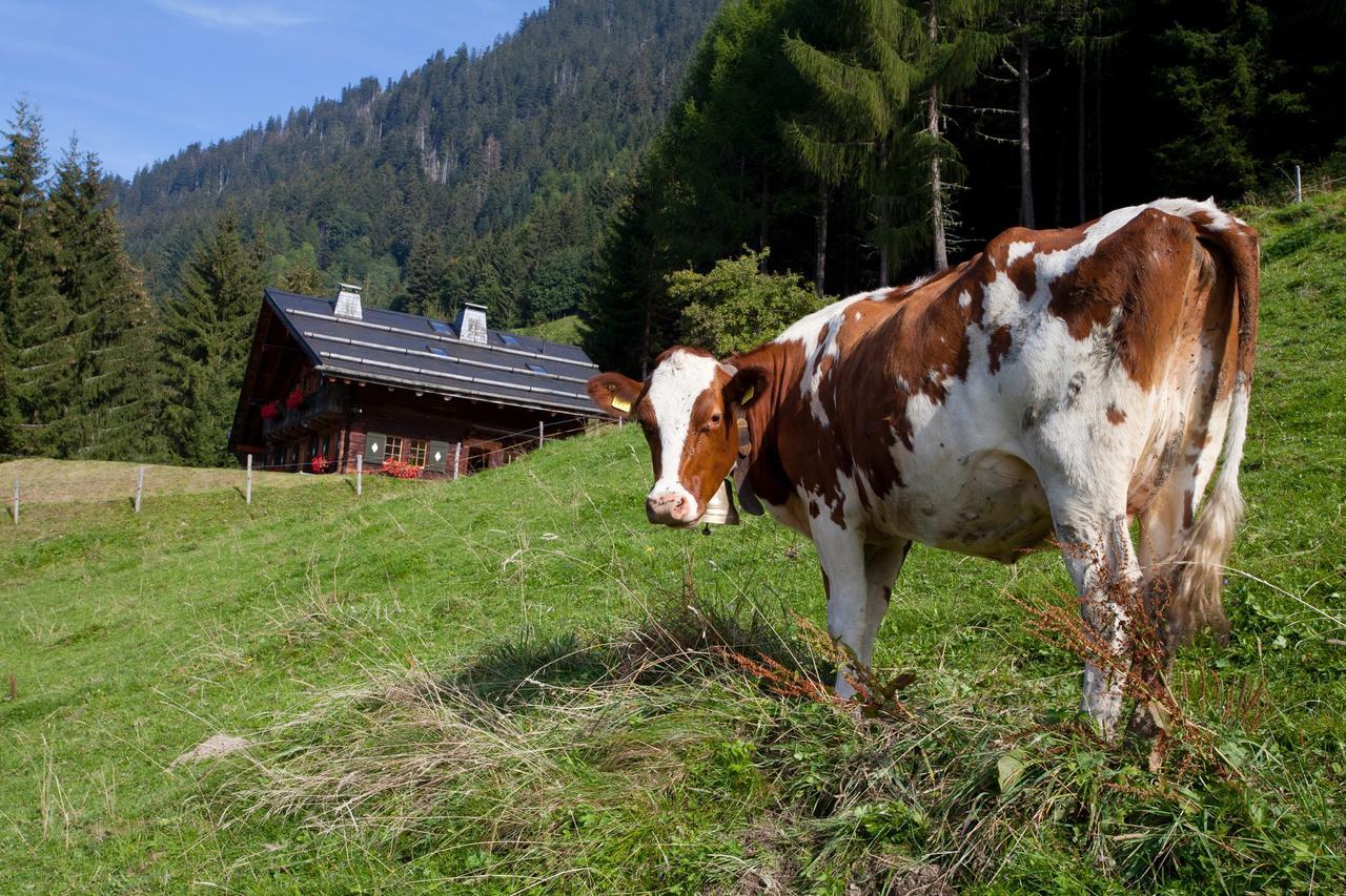 ヴァル＝ディリエ Le Chalet De Laraヴィラ エクステリア 写真