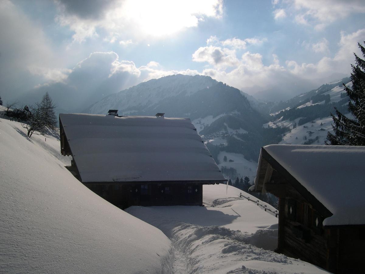 ヴァル＝ディリエ Le Chalet De Laraヴィラ エクステリア 写真